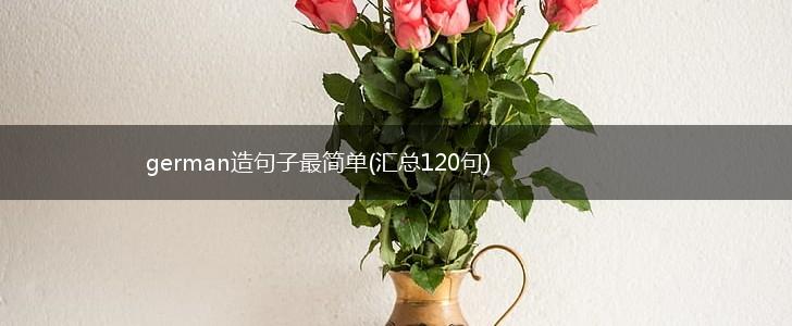 german造句子最简单(汇总120句),第1张