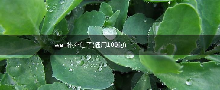 well补充句子(通用100句),第1张