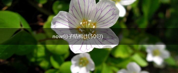 now句子结构(共50句),第1张