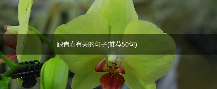 跟青春有关的句子(推荐50句),第1张