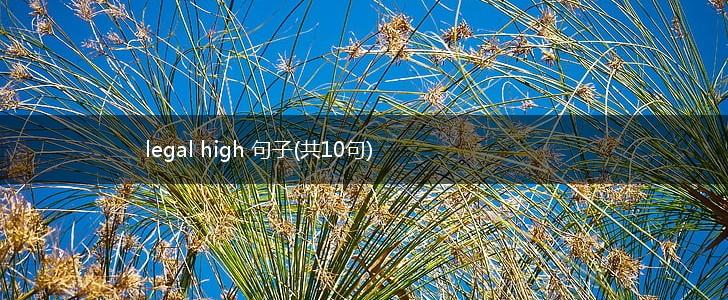 legal high 句子(共10句),第1张