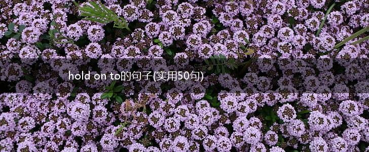 hold on to的句子(实用50句),第1张