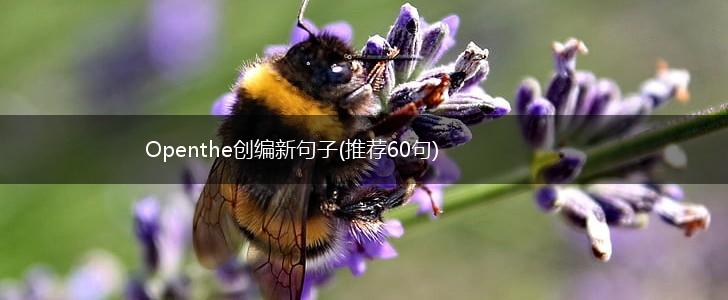 Openthe创编新句子(推荐60句),第1张