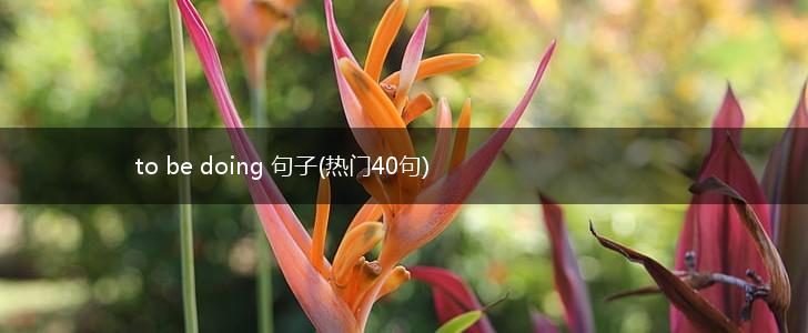 to be doing 句子(热门40句),第1张