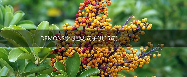 DEMONS学习励志句子(共15句),第1张