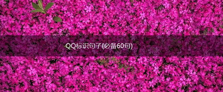 QQ标识句子(必备60句),第1张
