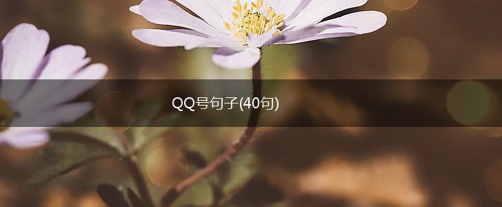 QQ号句子(40句),第1张