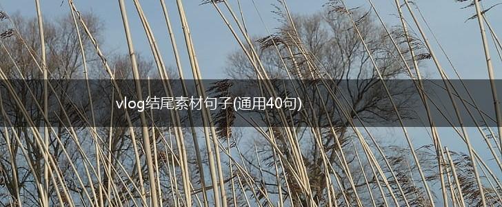 vlog结尾素材句子(通用40句),第1张
