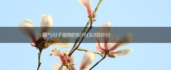 霸气句子很拽的短句(实用50句),第1张