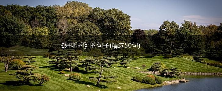 《好听的》的句子(精选50句),第1张