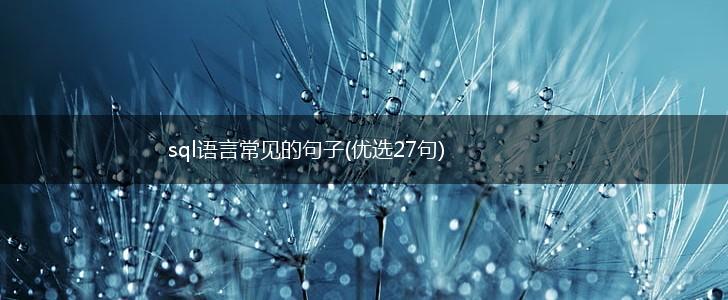 sql语言常见的句子(优选27句),第1张