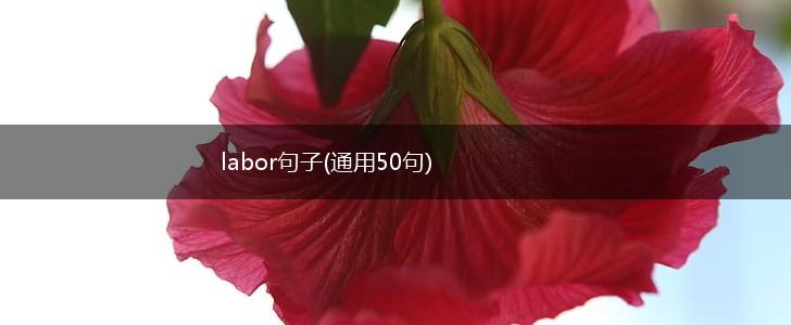 labor句子(通用50句),第1张
