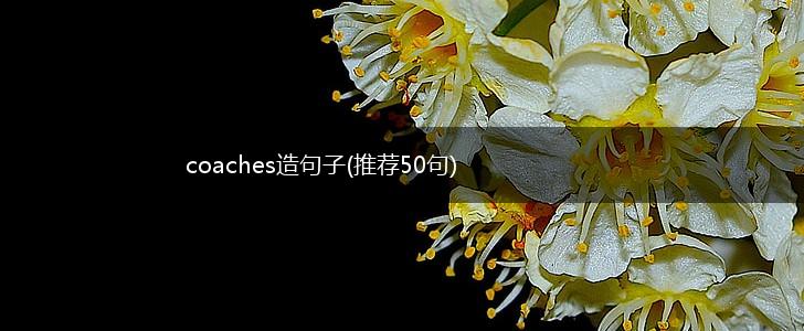 coaches造句子(推荐50句),第1张