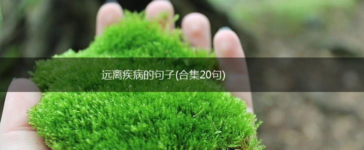 远离疾病的句子(合集20句),第1张