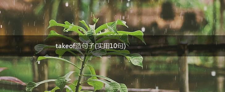 takeof造句子(实用10句),第1张