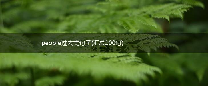 people过去式句子(汇总100句),第1张