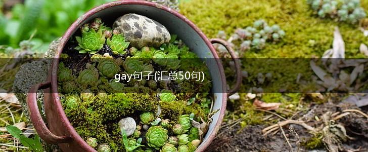 gay句子(汇总50句),第1张