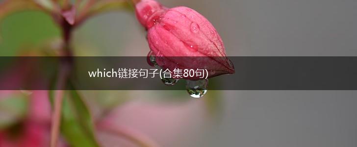 which链接句子(合集80句),第1张