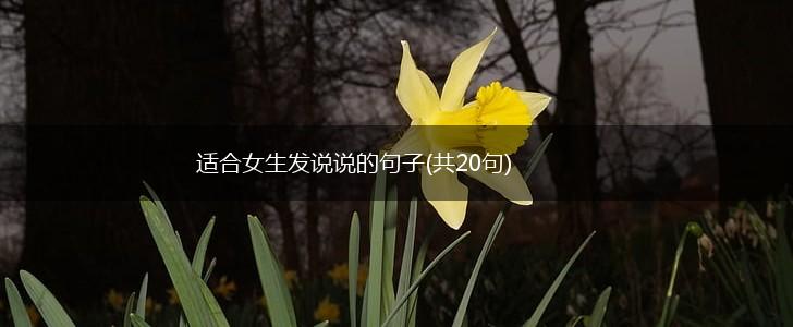 适合女生发说说的句子(共20句),第1张