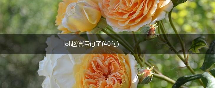 lol赵信污句子(40句),第1张
