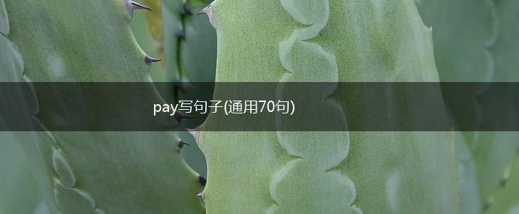 pay写句子(通用70句),第1张