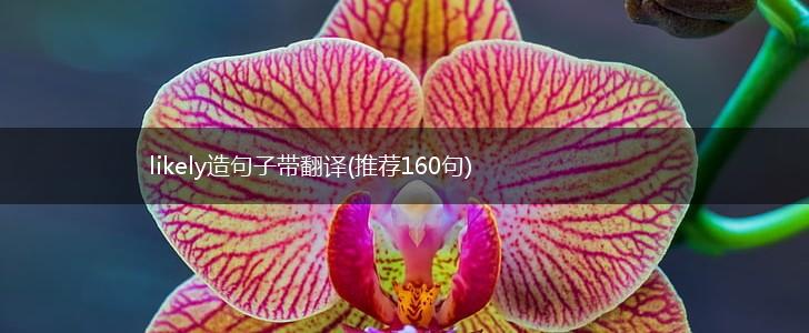 likely造句子带翻译(推荐160句),第1张