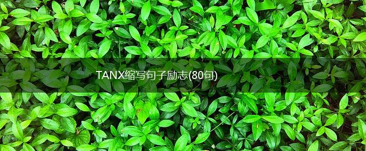 TANX缩写句子励志(80句),第1张