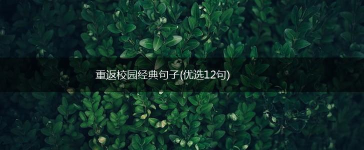 重返校园经典句子(优选12句),第1张