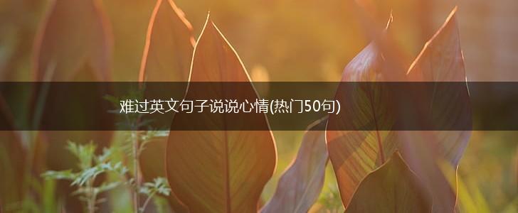 难过英文句子说说心情(热门50句),第1张