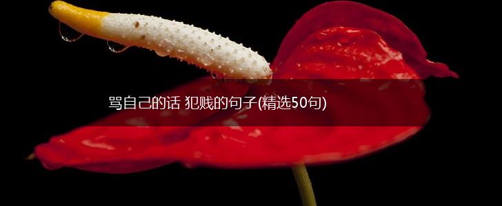 骂自己的话 犯贱的句子(精选50句),第1张