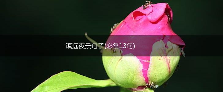 镇远夜景句子(必备13句),第1张