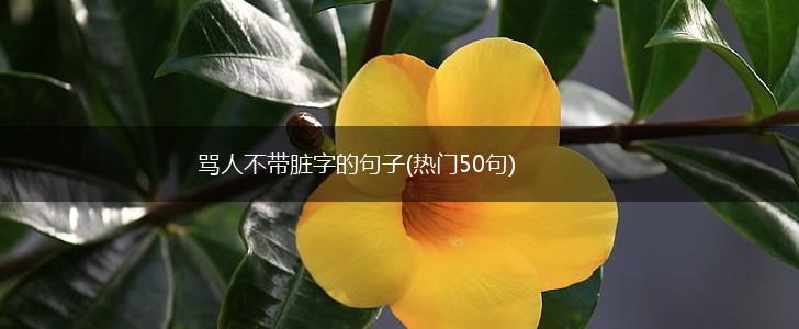 骂人不带脏字的句子(热门50句),第1张