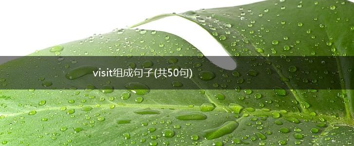 visit组成句子(共50句),第1张
