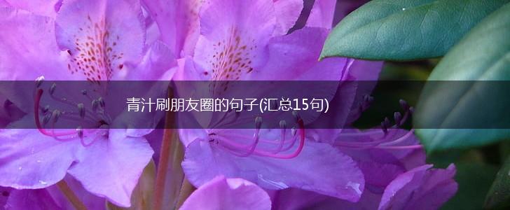 青汁刷朋友圈的句子(汇总15句),第1张