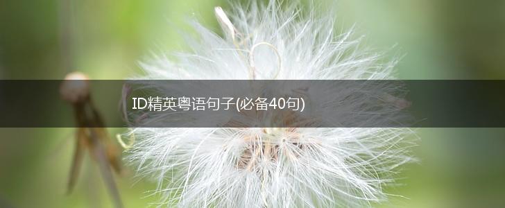ID精英粤语句子(必备40句),第1张