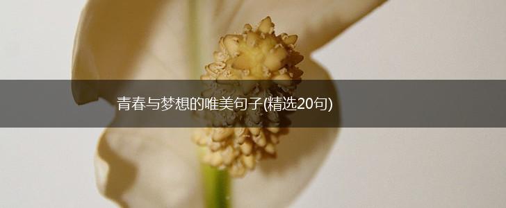 青春与梦想的唯美句子(精选20句),第1张
