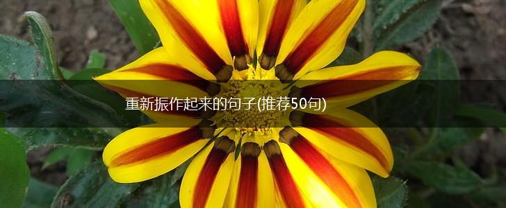 重新振作起来的句子(推荐50句),第1张