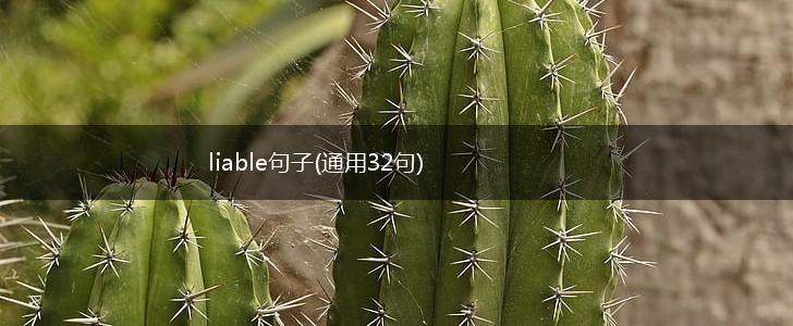 liable句子(通用32句),第1张