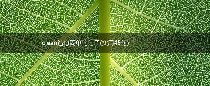 clean造句简单的句子(实用45句),第1张