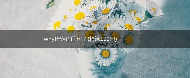 why作定语的句子(精选100句),第1张