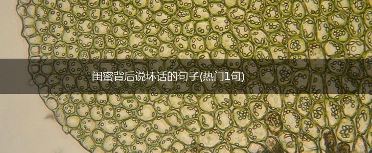 闺蜜背后说坏话的句子(热门1句),第1张