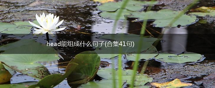 head能组成什么句子(合集41句),第1张