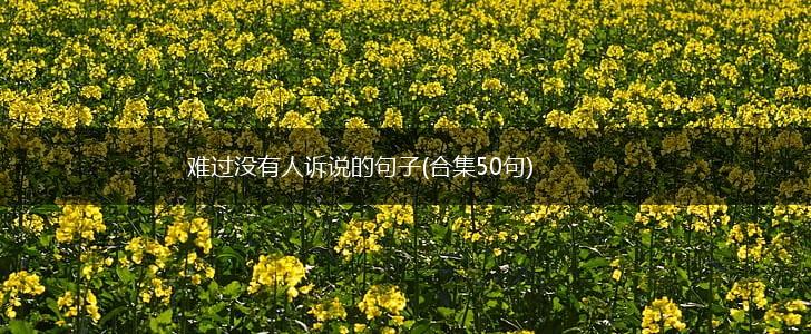难过没有人诉说的句子(合集50句),第1张