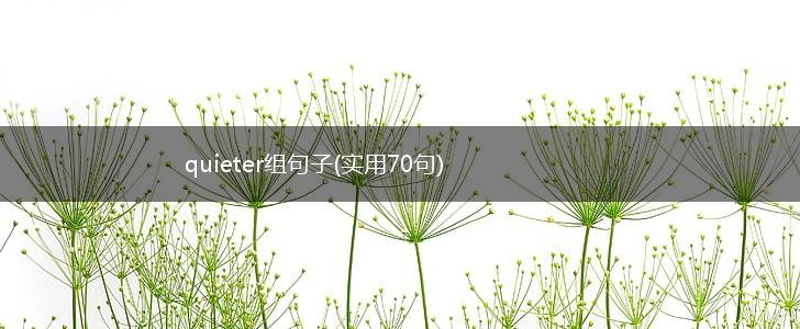 quieter组句子(实用70句),第1张
