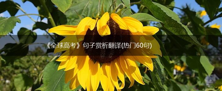 《全球高考》句子赏析翻译(热门60句),第1张