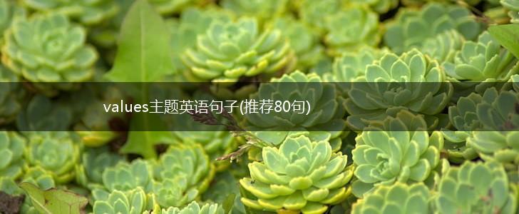 values主题英语句子(推荐80句),第1张