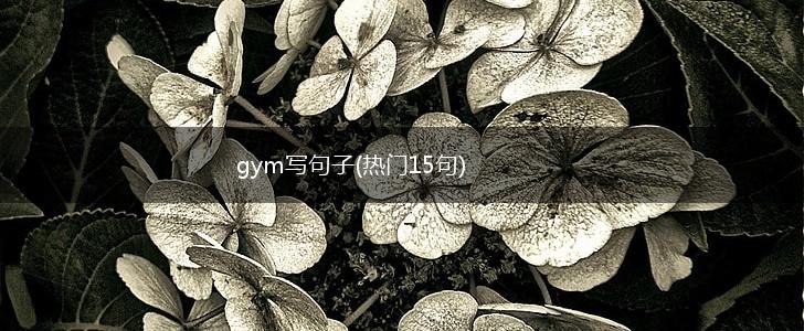 gym写句子(热门15句),第1张