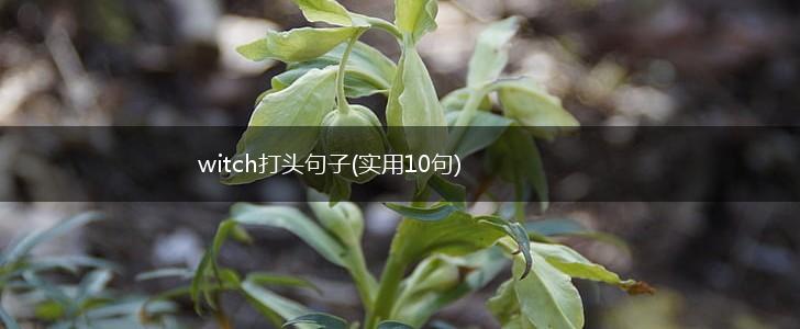 witch打头句子(实用10句),第1张