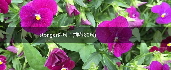 stonger造句子(推荐80句),第1张