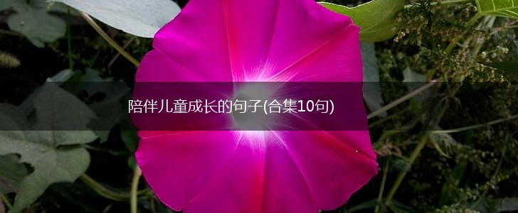 陪伴儿童成长的句子(合集10句),第1张